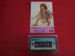 CEYLAN SEV BENİ SEVEYİM SENİ (ANNEM) KAĞIT DÖNEM BASKI KASET