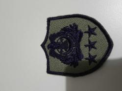 Türk Hava Kuvvetleri Kartal Amblemli Göğüs Amblemi Peç Albay