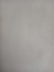 21 Mart 1982 - Salih Bora ve Necdet Uçar İETT'nin ''100 bin lira maaş, kat ve lojman'' teklifini ''alışkın değiliz'' diyerek reddettiler - Uli Hoeness'in kısa sürede hastaneden çıkması Almanya'yı sevince boğdu fotoğraf ve haberi - Tek Yaprak Arkalı Önlüdür