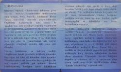 Mersin Balığı Türkiye'ye Özgü Balıklar Serisi Okside GÜMÜŞ  ( SERTİFİKALI ) ÇİL