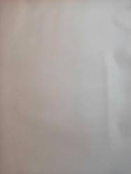 18 Nisan 1982 - Hansi Müller: ''Ben hiçbir zaman Alman olmadım. Kendimi hep İtalyan olarak düşledim. Almanya'da diğerlerinden farklı olduğum için beni affetmediler'' dedi fotoğraf ve haberi - Tek Yaprak Arkalı Önlüdür