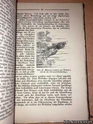 AUS DEM LİEBESLEBEN DER TİERE / BİOLOGİSCHE BETRACHTUNGEN ÜBER DİE BEGATTUNG İM TİERREİCH / DR. ERNST SCHRADER / FRANCKH'SCHE VERLAGSHANDLUNG / ALMANCA KİTAP (HAYVANLARIN CANLI YAŞAMINDAN / HAYVANLARDA ÇİFTLEŞMEYE İLİŞKİN BİYOLOJİK DEĞERLENDİRMELER)