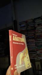 Fonksiyonel ANATOMİ Ekstremiteler ve Sırt Bölgesi