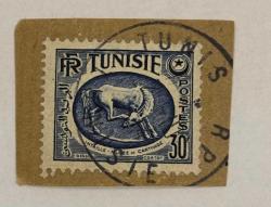 Tunus Pulu - Tunisia Stamp - Mektup Zarfından Kesilmiş / Postadan Geçmiş Pul Filateli - Damgalı - TUNUS PULU , 30 PARA - YABANCI PULLAR