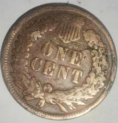AMERİKA  1906  1 CENT   Amerika yerlisi