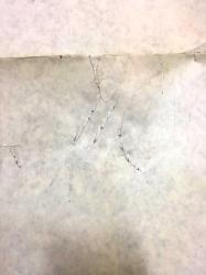 ELVEDA DOSTUM, 1982, SİNEMA FİLM AFİŞİ / POSTERİ - DEB BOY - ORİJİNAL - 200 X 100 cm EBADINDA - Original Turkish Big Size Movie Poster - Zeki Alasya, Mehmet Aydın, Kadir İnanır, Pembe Mutlu, 	Tuncer Necmioğlu, Ahu Tuğba, Mesut Çakarlı, Haluk Kurtoğlu, Nedret Güvenç, Fırat Gülgen, Romalı Perihan, 	İsmail Yavuz Selekman, Altan Tekin