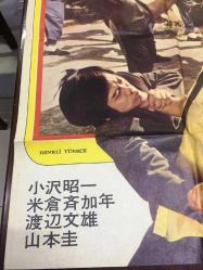 CANAVARLAR ÇARPIŞIYOR - (Da jiao long), 1974,  UZAK DOĞU KUNG FU DÖVÜŞ SİNEMA FİLM ÇİZİM AFİŞİ / POSTERİ  - BÜYÜK BOY - ORİJİNAL - 99 X  68 cm EBADINDA - Original Turkish Big Size Movie Poster - Chien Lei, Michael Wai-Man Chan, Betty Ting Pei, Chin Hu - MİMERAY