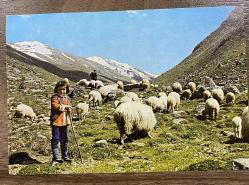 Efemera - Eski Yaylada çocuk çoban kartpostal - kitantik - kitaLog