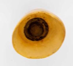 Batı afrika bizon boynuzundan biblo