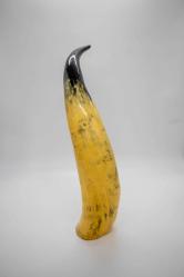 Afrika bizonu boynuzu biblo