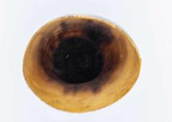 Batı afrika bizon boynuzundan biblo