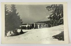 LOT.19 » 1965 Bursa Uludağ siyah beyaz fotoğraf manzaralı arkası yazılı