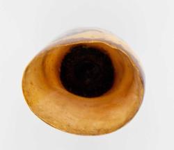 Batı afrika bizon boynuzundan biblo