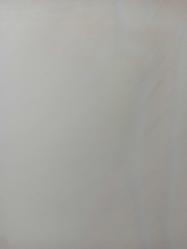 3 Haziran 1982 - Gelelim Mehmet Ekşi'ye bu adamın kardeşi Feyyaz Beşiktaş'ın genç takımındadır ve Miliç tarafından A takım kadrosuna alınmıştır - Diğer kardeşi Hıdır da yine İstanbul'da Beylerbeyi'nde top oynamaktadır haberi - Islak kalemle a4 kağıdına yazılmış bilgi notu - Tek Yaprak Arkalı Önlüdür