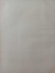 7 Haziran 1982 - Galatasaray Hosic ve Seyidesle anlaştı - Trabzonla berabere kalan Beşiktaşlı futbolculara 30bin er TL prim verildi - Eskişehirspor maçı ayriyetten hesaplanacak haberi - Islak kalemle a4 kağıdına yazılmış bilgi notu - Tek Yaprak Arkalı Önlüdür