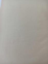 13 Haziran 1982 - Eskişehir - Beşiktaş maçı - 2. yarı Eskişehir seyircisi azda olsa bir umutla yine takımlarını desteklemek için tezahüratı kesmediler - TV bu arada yayını kestiği için golü göremedik haberi - Islak kalemle a4 kağıdına yazılmış bilgi notu - Tek Yaprak Arkalı Önlüdür