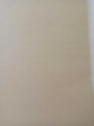 13 Haziran 1982 - Şu Beşiktaşlı Ziya varya şu Ziya hani yağız köy çocuğu esmer asker traşlı vatan vazifesini yapan hani sezon ortasında ameliyat olan ve tekrar takıma girerek üstün form gösteren ve bu gün de Beşiktaş'ı 15 senedir özlediği şampiyonluğu getirdi haberi - Islak kalemle a4 kağıdına yazılmış bilgi notu - Tek Yaprak Arkalı Önlüdür