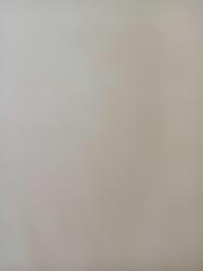 15 Haziran 1982 - Mehmet Üstünkaya (Beşiktaş Teknik Direktörü) - Sevincimi anlatmaya ciltler yetmez - Beşiktaş futbolcusunun bir maçtan görüntüsü Gazete haberi - Tek Yaprak Arkalı Önlüdür