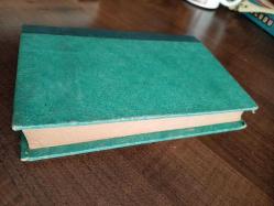 Pompei'nin Son Günleri