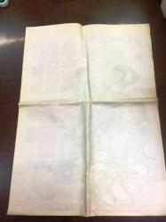 DEMİR YUMRUK (THE IRON BULL - Tie niu), 1973, ÇİNCE KUNG FU DÖVÜŞ SİNEMA ÇİZİM FİLM AFİŞİ / POSTERİ, - BÜYÜK BOY - ORİJİNAL - 74 X 54 cm EBADINDA - Original Turkish Big Size Movie Poster - Ti Tang, Alan Tang, 	Chui Meng, Wilson Tong, Hoi Mang, Hsi Chang, Siu-Loi Chow, Ying-Chieh Han, Li-Jen Ho, Rainbow Hsu, Chun-Fa Keng, Lei Lei, Li Li, Bruce Mang