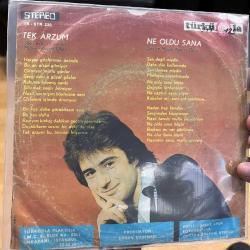 KAZIM OKAN - TEK ARZUM 02715