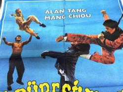 ÖLDÜRESİYE VUR, (THE IRON BULL) ÇİN KUNG FU DÖVÜŞ SİNEMA FİLM AFİŞİ / POSTERİ - BÜYÜK BOY - ORİJİNAL - 100 X 67 cm EBADINDA - Original Turkish Big Size Movie Poster - ALAN TANG, MANG CHIOU
