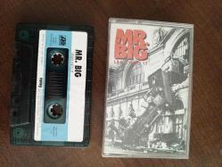 Lean Into it Mr. Big ( 1992 )