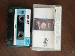 Lean Into it Mr. Big ( 1992 )