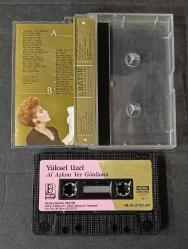 YÜKSEL UZEL * AL AŞKINI VER GÖNLÜMÜ * KASET
