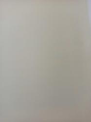 1 Ocak 1984 - Ödül Alan Karikatürler - Patrick Marchal, Belçika - Atletizm'de koşu yapan Kızılderililer karikatürü - Gazete haberi - Tek Yaprak Arkalı Önlüdür