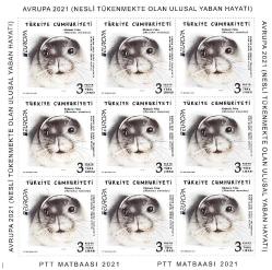 Avrupa 2021 (Nesli Tükenmekte Olan Ulusal Yaban Hayatı) Tam Seri Tabaka