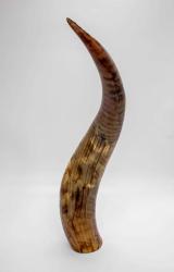 Afrika bizonu boynuzu biblo