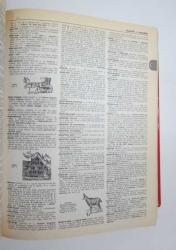 The New Webster's Encyclopedic Dictionary of the English Language