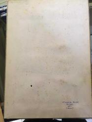 OKUL ÖDEVİ RESİM ÇALIŞMASI: ÖĞRENCİ: CUMHUR ÖZCAN - MUKAVVA ÜZERİNE İSTANBUL'DAN MANZARALAR, İSTANBUL BOĞAZI VE GALATA KULESİ KONULU RESİM - 35 x 25 cm EBADINDA