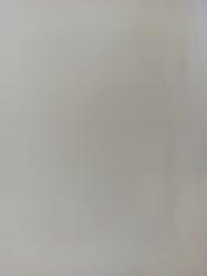 10 Şubat 1984 - Uluslararası Tahran Güreş Turnuvası dün başladı... - Grekoromende Özsoy ve Boylu finale kaldı - Ayhan Taşkın görüntüsü - Gazete haberi - Tek Yaprak Arkalı Önlüdür