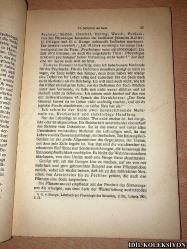 DİE SEELE / PROF. AUGUST BİER / J.F. LEHMANNS VERLAG / ALMANCA KİTAP (RUH)