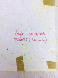 OKUL ÖDEVİ RESİM ÇALIŞMASI: ÖĞRENCİ: ÖZGÜR ŞAHİNBOY - MUKAVVA ÜZERİNE İSTANBUL VE TARİHİ YAPILARI KONULU RESİM - 35 x 25 cm EBADINDA