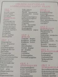 12 Şubat 1984 - 1. Lig Sarı Kart Gören Futbolcular - K.Turgay (Sakarya) - Abdullah (Karagümrük) - Yücel (Ordu) - Yusuf (Kocaeli) - Ahmet (Sarıyer) haberi - Islak kalemle a4 kağıdına yazılmış bilgi notu - Tek Yaprak Arkalı Önlüdür