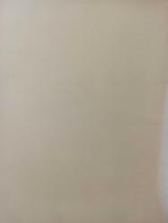 18 Şubat 1984 - Kafa darbesiyle kaşı açılan ünlü boksörümüz iki maçını iptal etti - Eyüp Can: ''Türkiye'ye sağlam gitmek istiyorum'' dedi - Beşiktaş dev maça hazır... - Gazete haberi - Tek Yaprak Arkalı Önlüdür