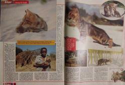 STAR DERGİSİ-STAR-DERGİ-25 TEMMUZ-1993-YIL:2-SAYI:93-KAPAK-FOTOĞRAF-RÖPORTAJ-MAGAZİN-SOSYETE-TARİH-BELGESEL-ASTROLOJİ-LIFESTYLE-YENİ BİR ZATİ SUNGUR YETİŞİYOR-HİMALAYA DAĞLARININ POSTACISI-HİZMETİNİZİ BİR ROBOT YAPSIN İSTER MİSNİZ?-ORMAN KRALLARINA YENİ BİR RAKİP ÇIKTI:SOKOKE-GÜNEY AFRİKA'DAKİ AZİ ORDUSU:AWB VE AQILA-BİZİM MATA HARİ EMİNE ADALET HANIM-YAZILARIYLA:METE AKYOL-ERGUN HİÇYILMAZ-ALİ RIZA KARDÜZ-AYKUT IŞIKLAR-ZATİ SUNGUR-HİMALAYA-POSTACI-ROBOT-ORMAN KRALLARI-SOKOKE-GÜNEY AFRİKA-NAZİ ORDUSU-AWB-AQUILA-MATA HARİ-EMİNE ADALET HANIM-LORISSA MC COMAS-TROPIKAL MÜZE-BAHAMA ADALARI-CYRSTAL PALACE-S MEYHANE-NAZİ ORDUSU-TİBETLİ YALIN-CASUS-