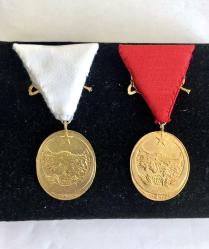 İSTİKLAL  MADALYALARI