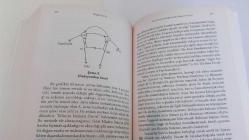 HEGEL PARİS'TE *  Fransızların Hegel Okuması