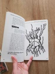 Romeo and Juliet (William Shakespeare) - Teach Yourself Literature Guides