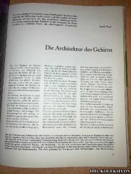 BEGABUNG UND ERFOLG / BİLD DER WİSSENSCHAFT / DEUTSCHE VERLAGS - ANSTALT STUTTGART / ALMANCA KİTAP (YETENEK VE BAŞARI / BİLİM İMAJI)