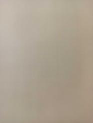 20 Nisan 1984 - Ali Şen, ''Eşimin ülkesinin kızlarını ağırlamak benim görevimdir'' diyor - Ali Şen'in baldızları! - Fenerbahçe'nin eski başkanı Ali Şen, ''Ben Danimarkalıların milli eniştesiyim'' diyor - Gazete haberi - Tek Yaprak Arkalı Önlüdür