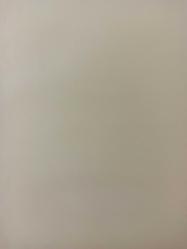 26 Nisan 1984 - ''Kaleci, antrenörü olmayınca Türkiye'de kaleci de yetişmiyor'' - 3 büyük kaleci Turgay Şeren, Özcan Arkoç ve İlie Datcu Milliyet'in açık oturumunda aynı görüşte birleştiler - Gazete haberi - Tek Yaprak Arkalı Önlüdür