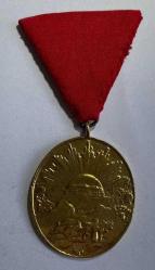 İSTİKLAL SAVAŞI MADALYASI REPLİKA