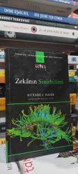 Zekânın Sinirbilimi