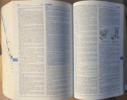 OXFORD ADVANCED LEARNER'S DICTIONARY 7TH EDITION - CD'Lİ