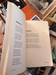 sevda - aysel gürel